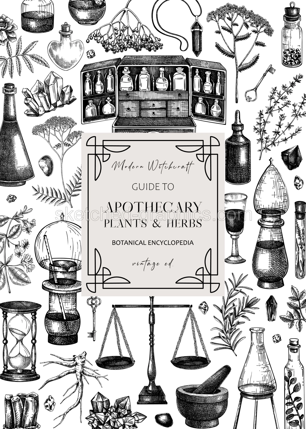 Antique apothecary frame on chalkboard. Hand-drawn vector illustrations. Alchemy sketches. Witchraft background. Vintage card or invitation design. NOT AI generated Illustration